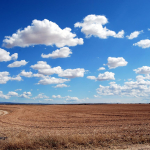 What to Consider Before Buying Land in Kenya A Complete Guide